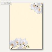 Motiv-Papier White Orchid