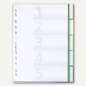 Durable Kunststoff-Register DIN A4, blanko, Schilder bedruckbar, 6220-05
