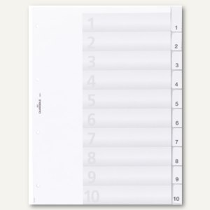 Durable Kunststoff-Register DIN A4, blanko, Schilder bedruckbar, 6821-19